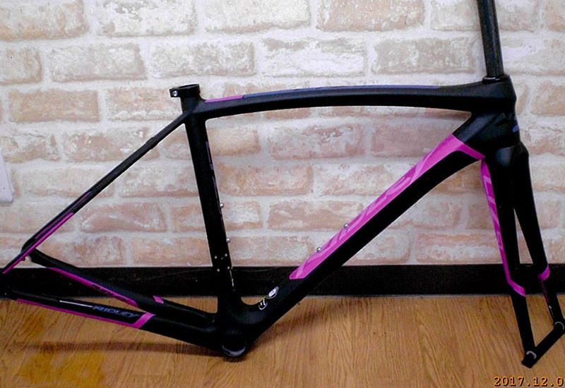 RIDLEY LIZ SL